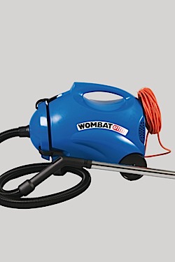 wombat