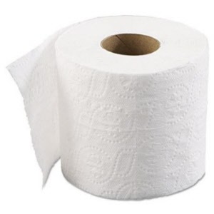 p2 tr2 toilet paper tissues roll premium economy